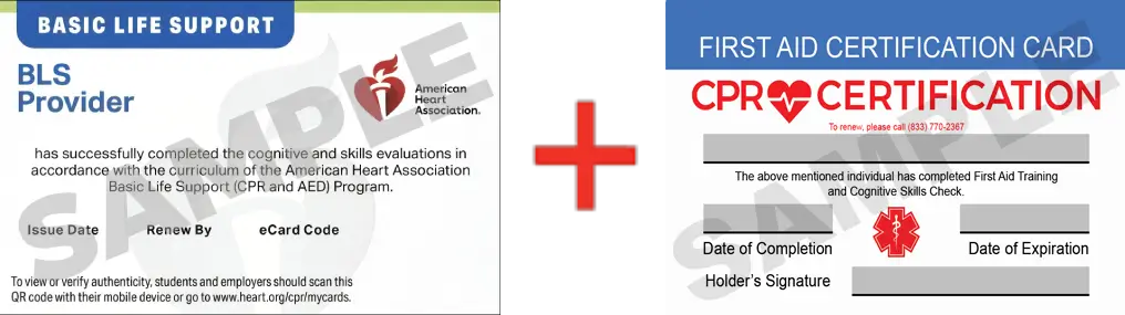 Sample American Heart Association AHA BLS CPR Card Certification and First Aid Certification Card from CPR Certification Wesley Chapel